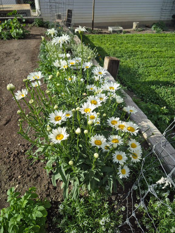 645 N 200 E Price, UT 84501