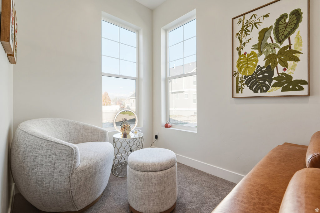 433 E 450 N Payson, UT 84651