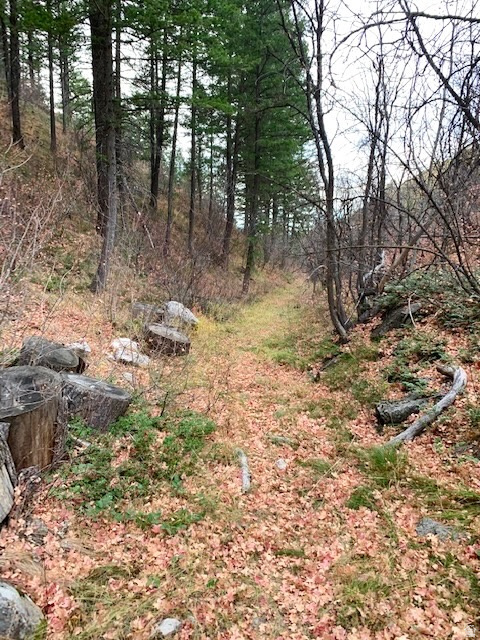 1  PINE DR Lava Hot Springs, ID 83246