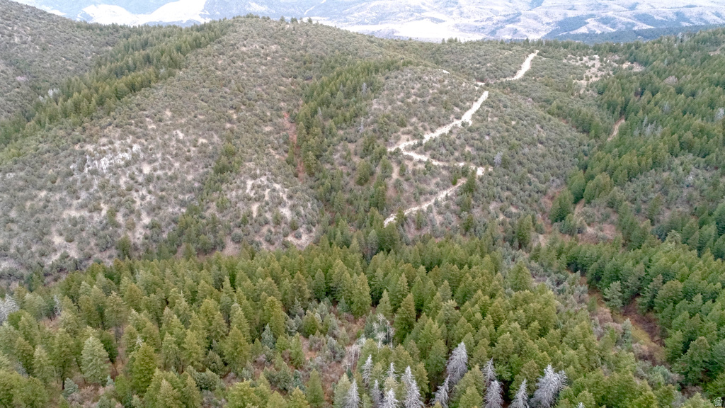 1  PINE DR Lava Hot Springs, ID 83246