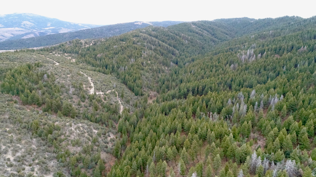 1  PINE DR Lava Hot Springs, ID 83246