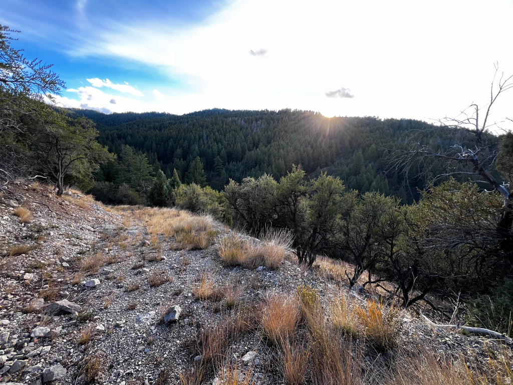 1  PINE DR Lava Hot Springs, ID 83246