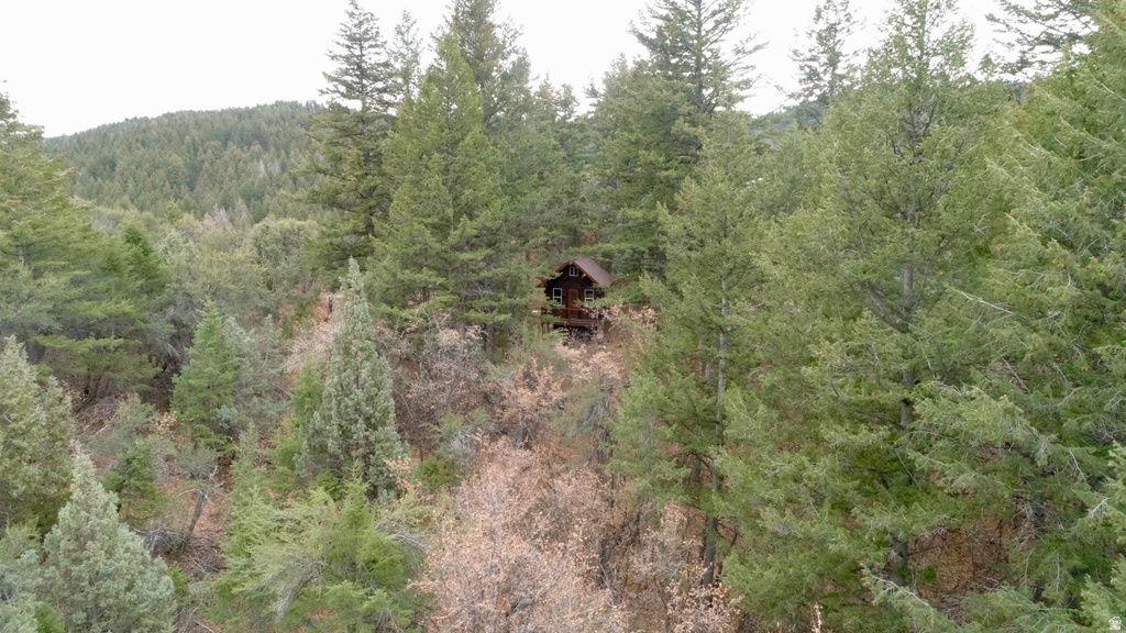 1  PINE DR Lava Hot Springs, ID 83246