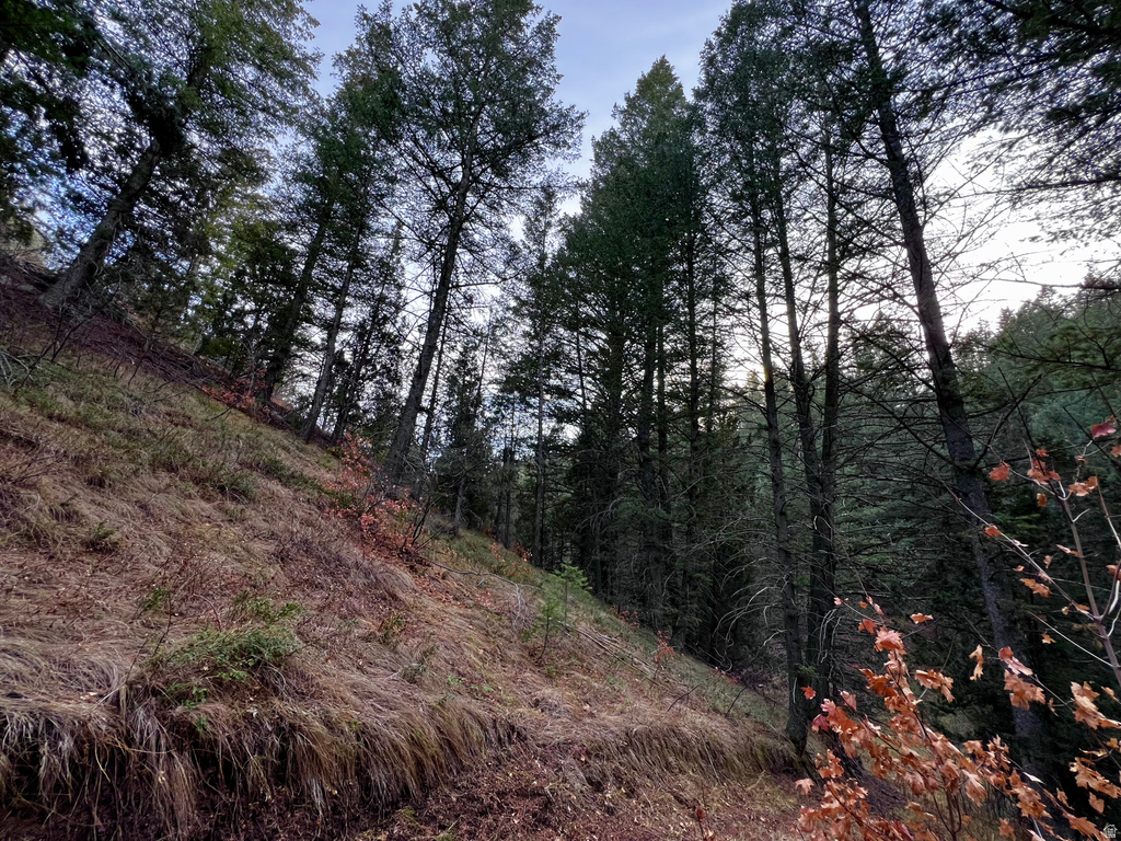 1  PINE DR Lava Hot Springs, ID 83246