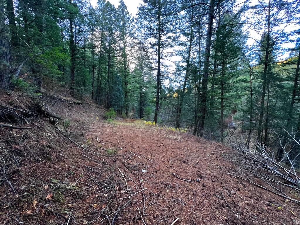 1  PINE DR Lava Hot Springs, ID 83246