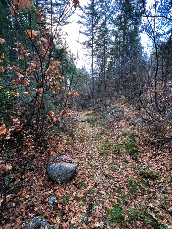 1  PINE DR Lava Hot Springs, ID 83246