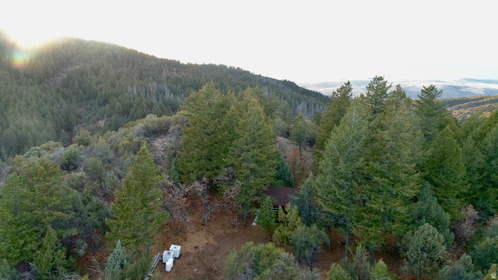 1  PINE DR Lava Hot Springs, ID 83246