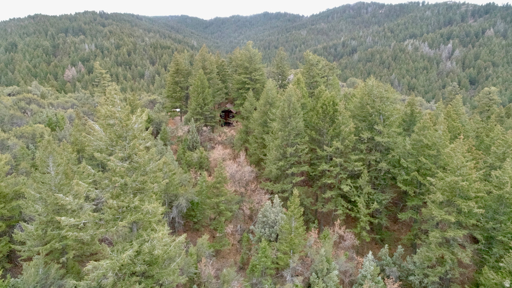 1  PINE DR Lava Hot Springs, ID 83246