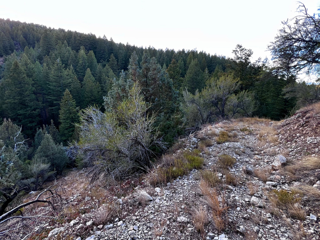 1  PINE DR Lava Hot Springs, ID 83246