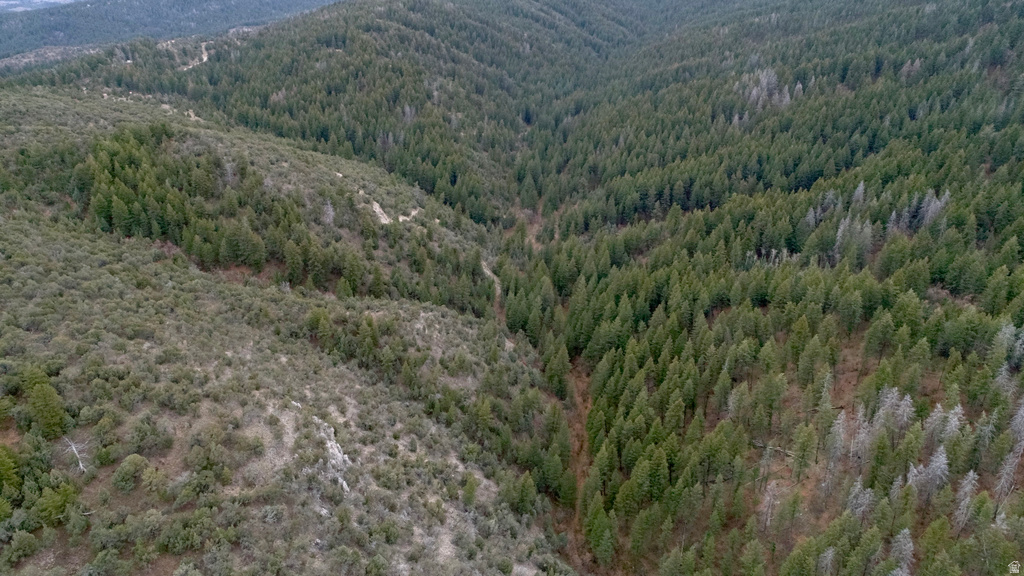 1  PINE DR Lava Hot Springs, ID 83246