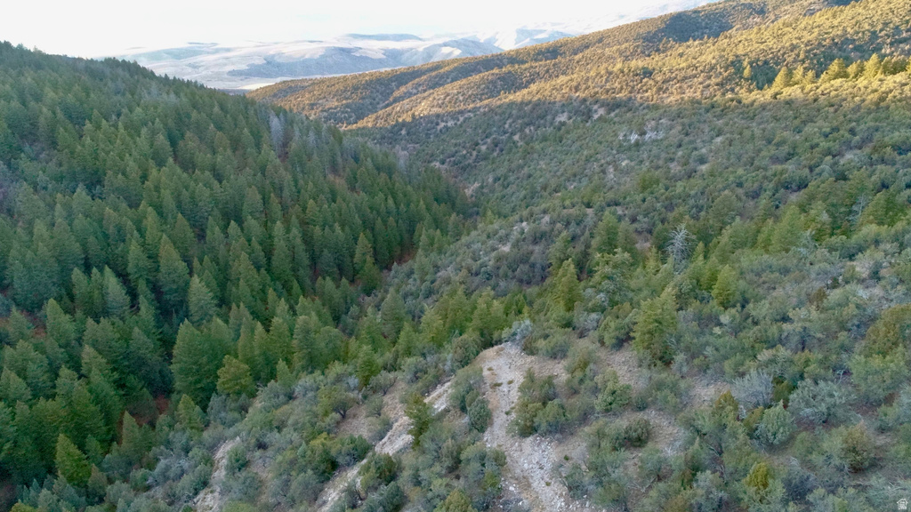 1  PINE DR Lava Hot Springs, ID 83246