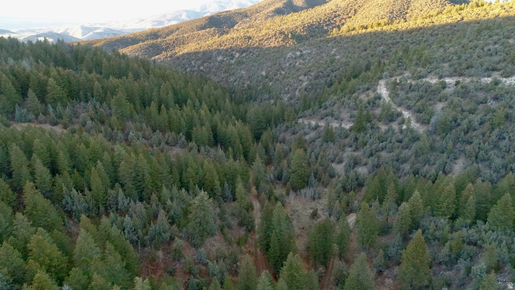 1  PINE DR Lava Hot Springs, ID 83246