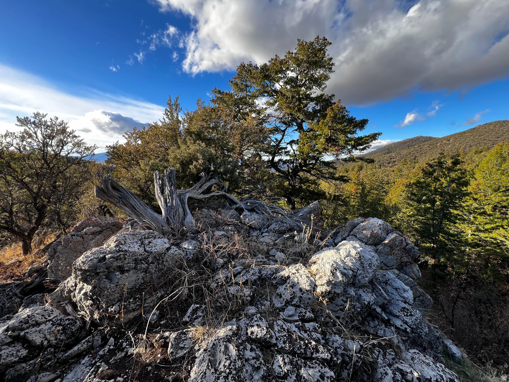 1  PINE DR Lava Hot Springs, ID 83246