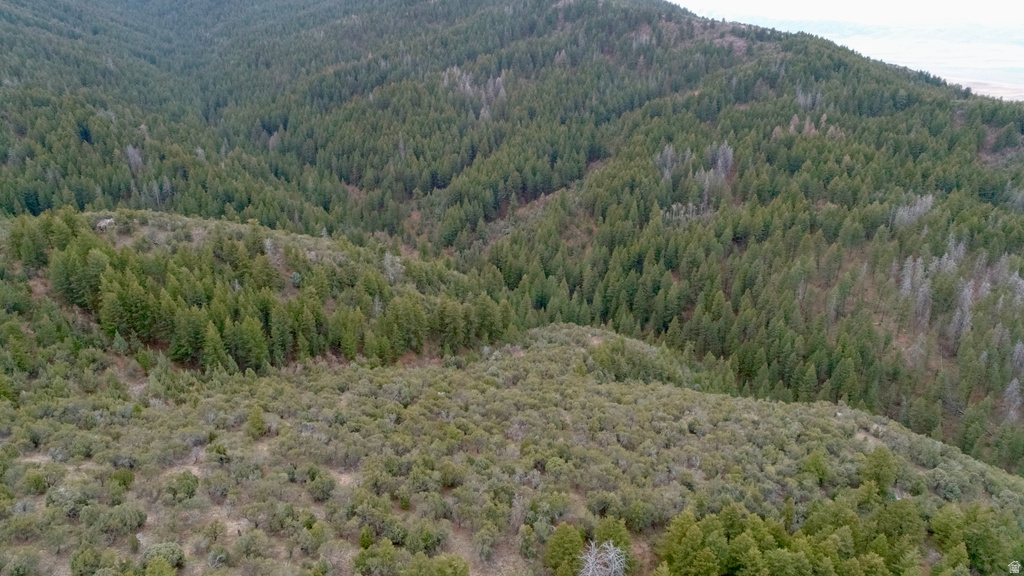 1  PINE DR Lava Hot Springs, ID 83246