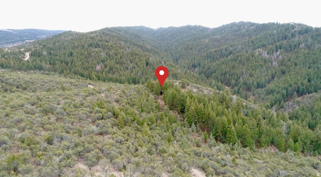 1  PINE DR Lava Hot Springs, ID 83246
