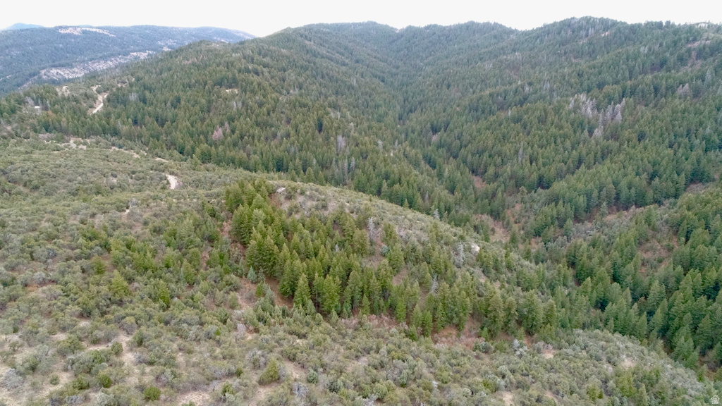 1  PINE DR Lava Hot Springs, ID 83246