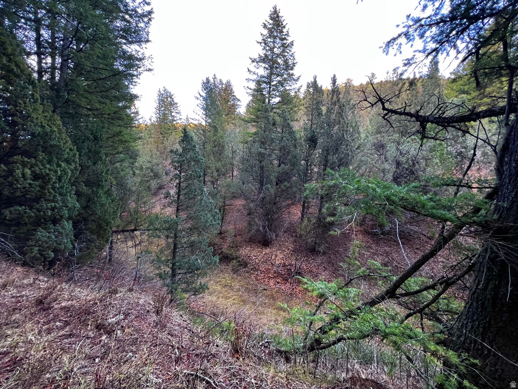 1  PINE DR Lava Hot Springs, ID 83246