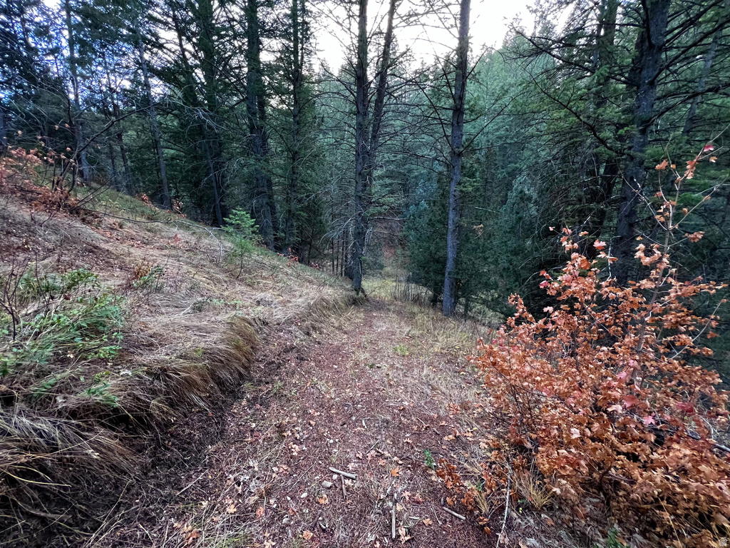 1  PINE DR Lava Hot Springs, ID 83246