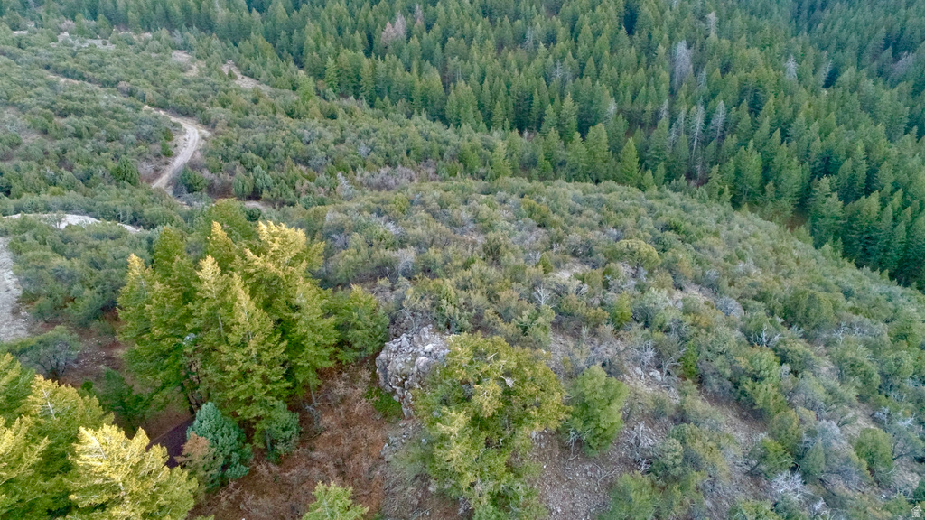 1  PINE DR Lava Hot Springs, ID 83246