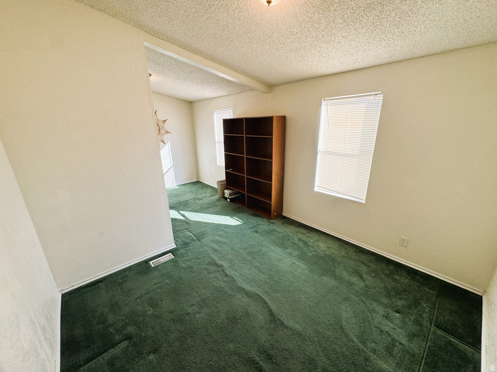 4073 N 15575 W Altamont, UT 84001