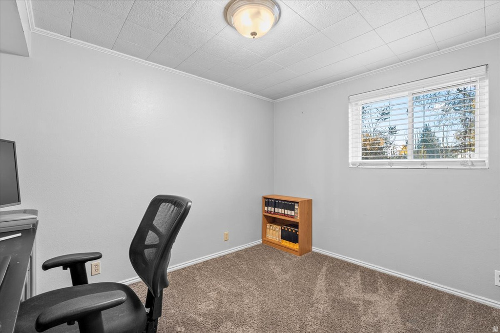 1154 W 1340 N Orem, UT 84057