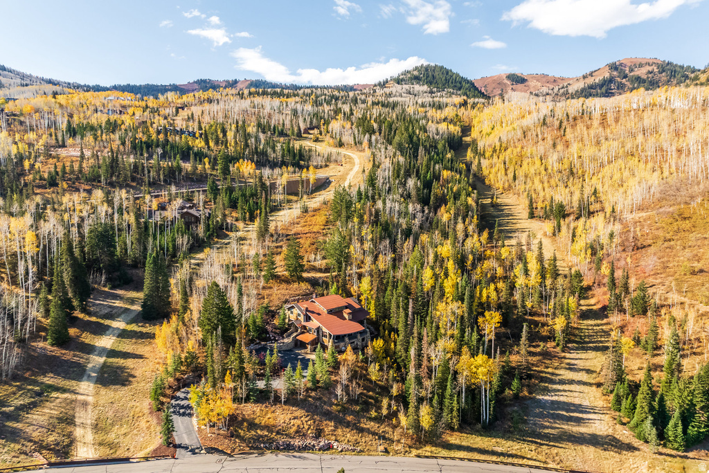 26 WHITE PINE CANYON RD Park City, UT 84060