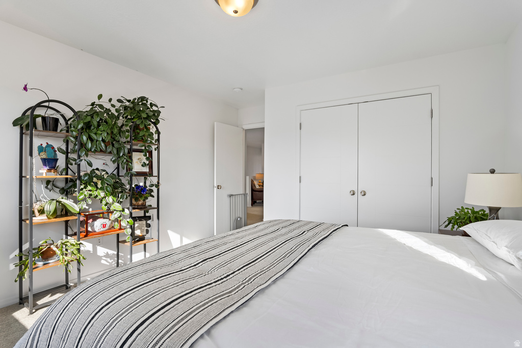 11624 S ALEXANDRIA DR South Jordan, UT 84009