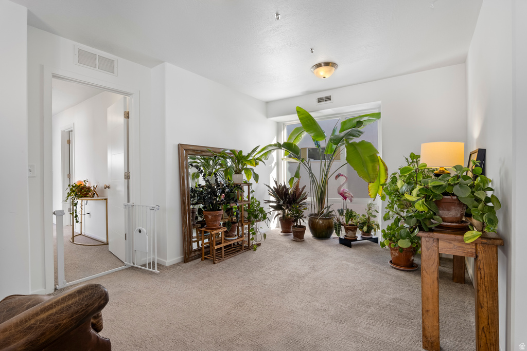 11624 S ALEXANDRIA DR South Jordan, UT 84009