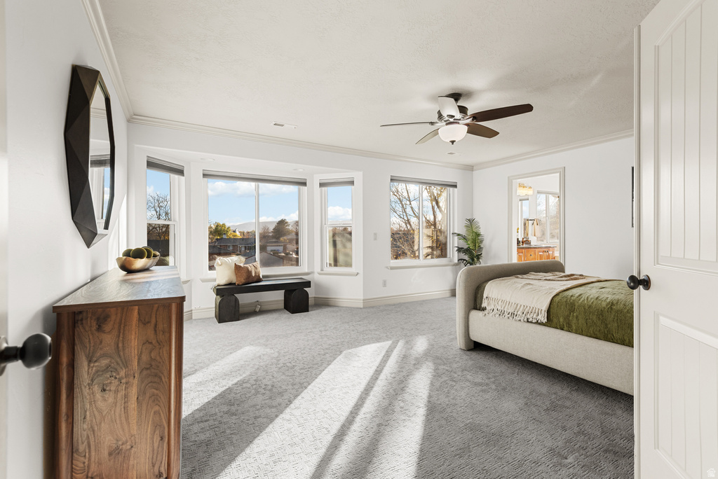 1337 W NATASHA CIR Riverton, UT 84065