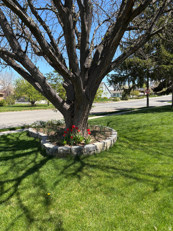 513 W 600 S Payson, UT 84651