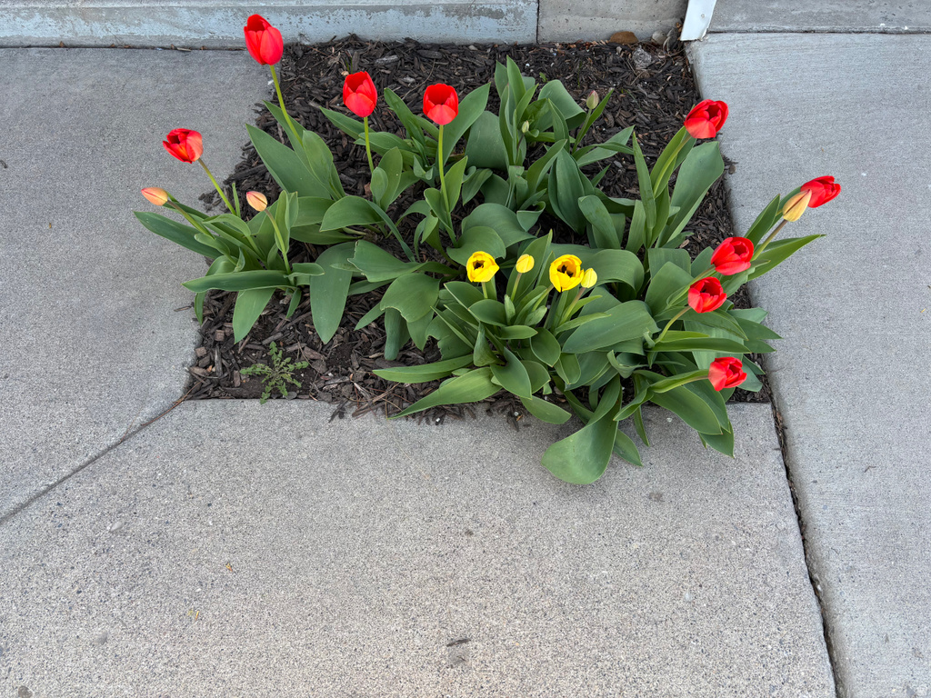 513 W 600 S Payson, UT 84651