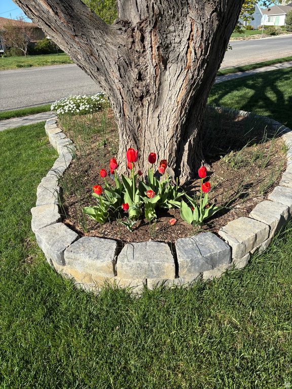 513 W 600 S Payson, UT 84651