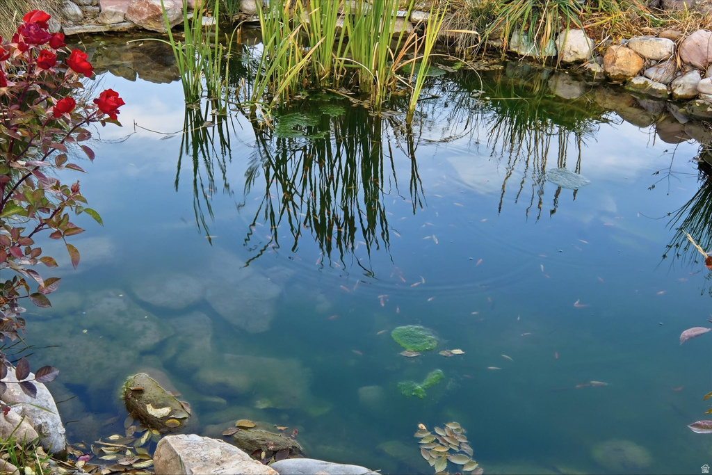 14376 N 6000 W Garland, UT 84312