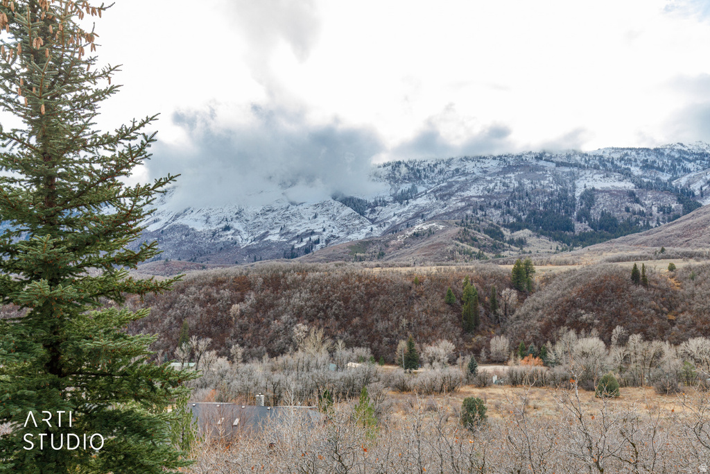 6679 N DURFEE CREEK RD Liberty, UT 84310