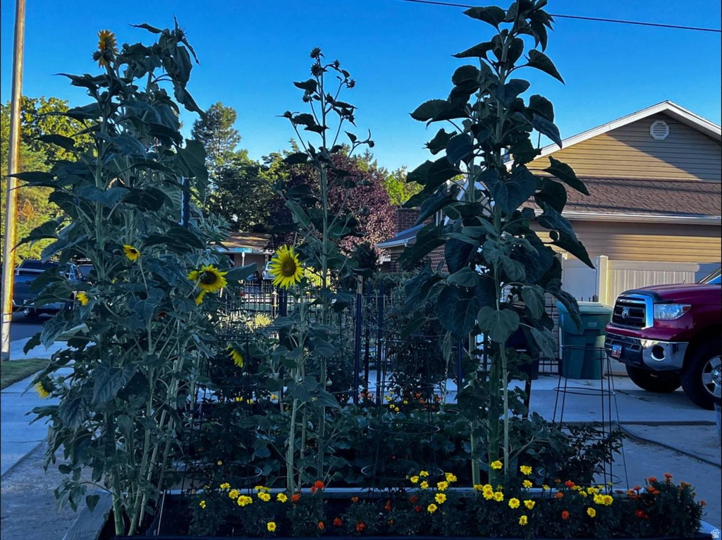 6460 S BLAINE DR Murray, UT 84107