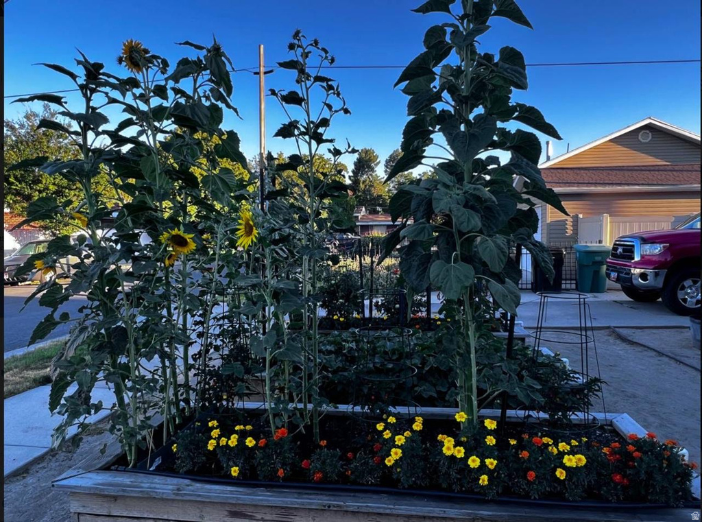 6460 S BLAINE DR Murray, UT 84107