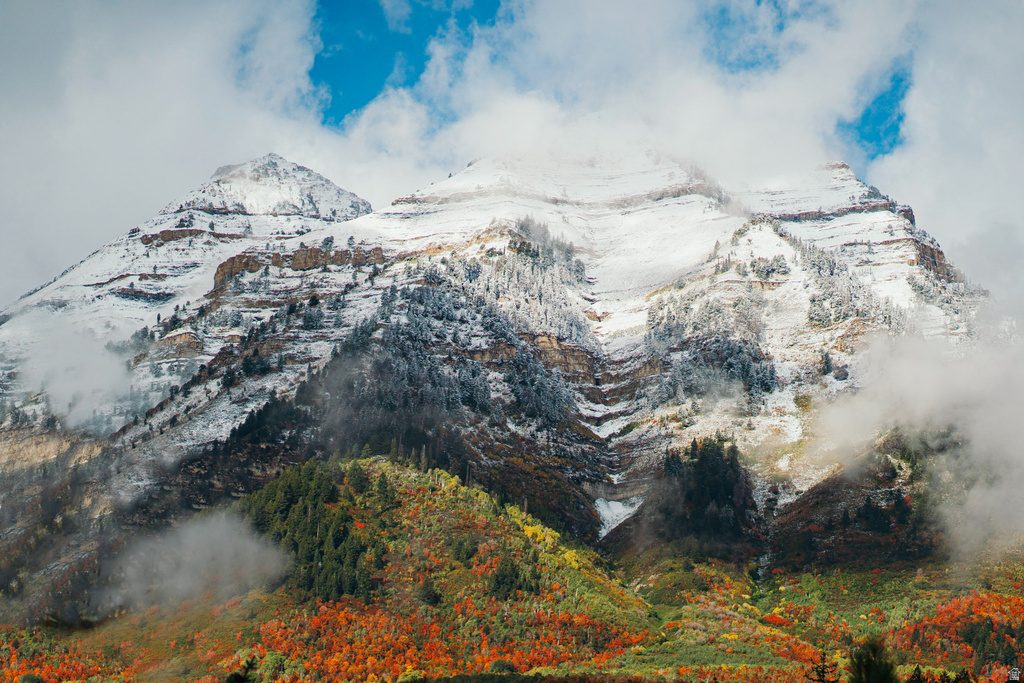 View photos for 9128 N Timphaven Rd 9128 N Timphaven Rd