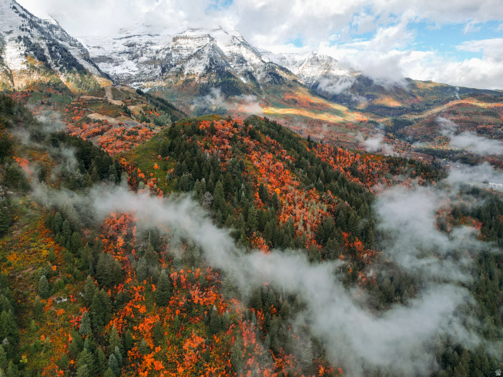 9128 N TIMPHAVEN RD Sundance, UT 84604