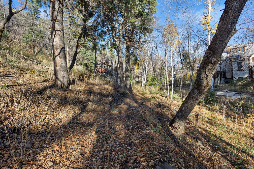 9128 N TIMPHAVEN RD Sundance, UT 84604