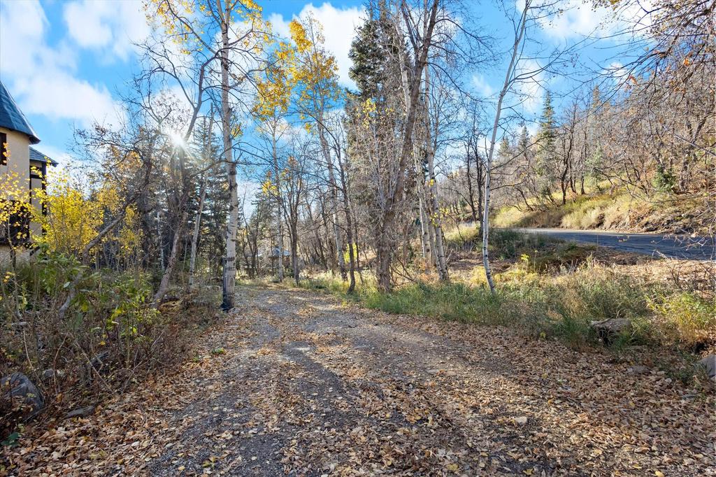 9128 N TIMPHAVEN RD Sundance, UT 84604