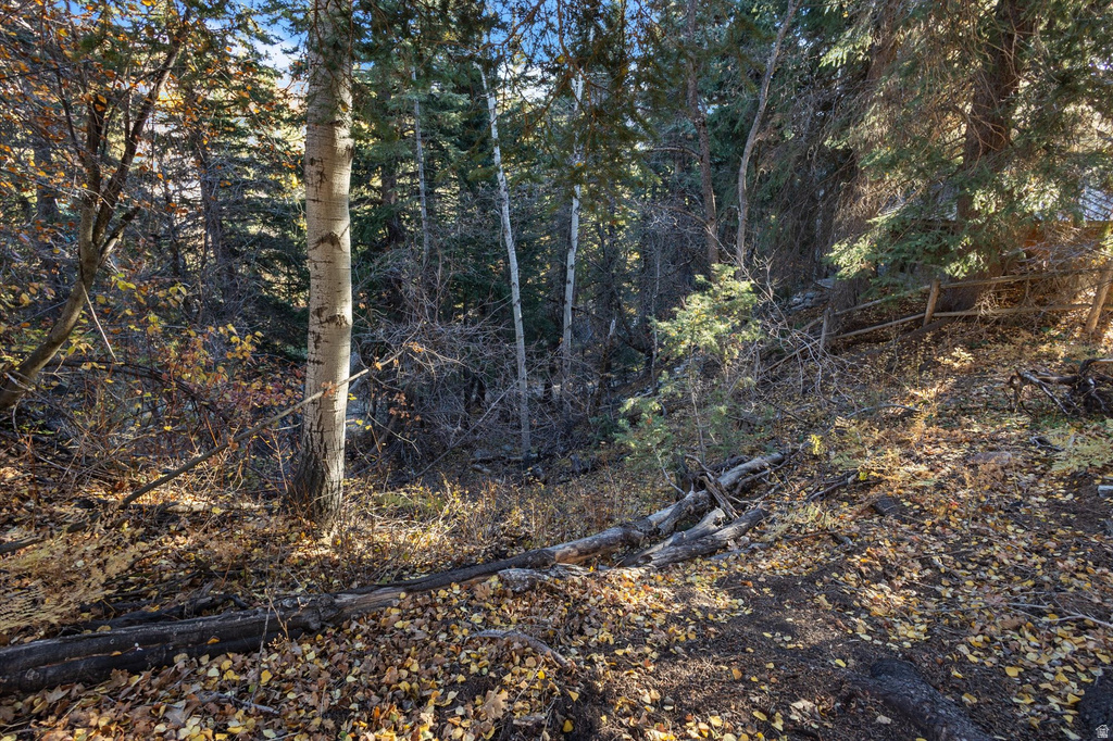 9128 N TIMPHAVEN RD Sundance, UT 84604