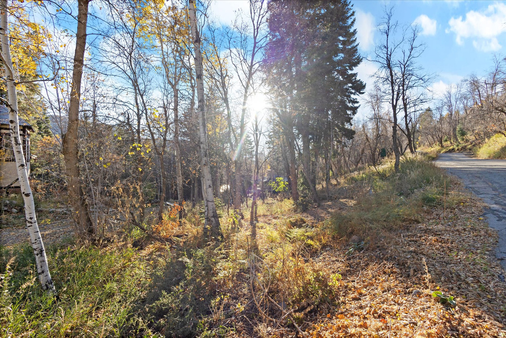 9128 N TIMPHAVEN RD Sundance, UT 84604