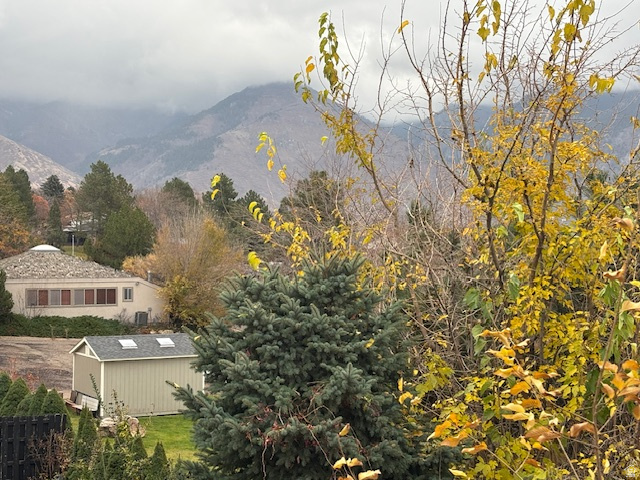 399 E 3350 N North Ogden, UT 84414