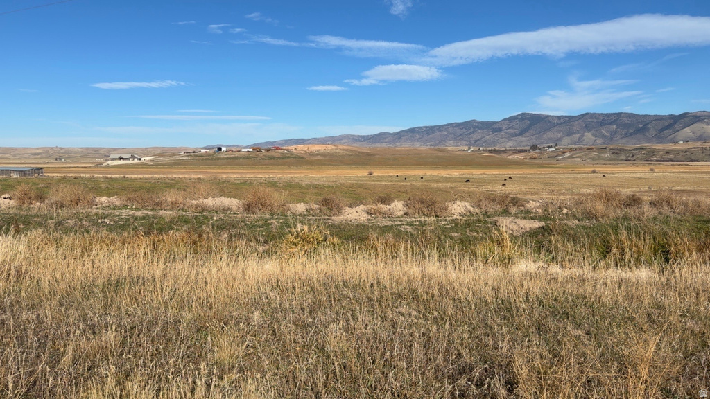 RIVER RD Grace, ID 83241