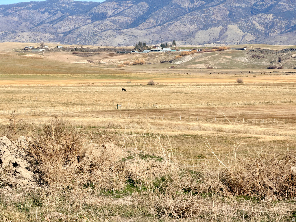 RIVER RD Grace, ID 83241