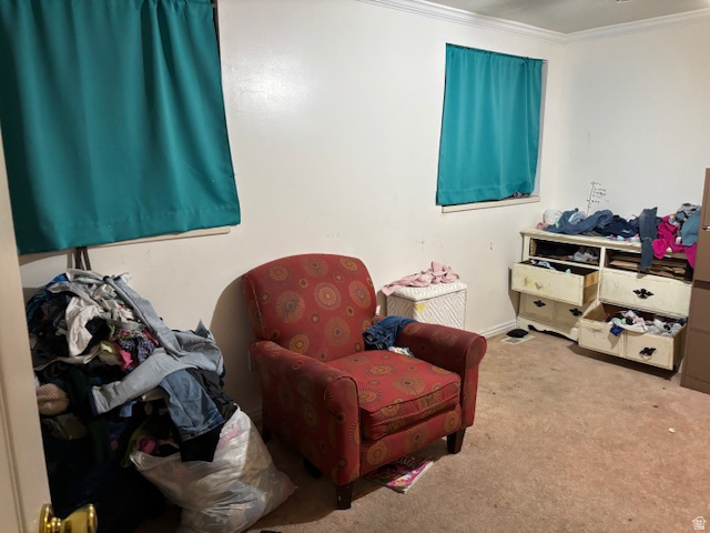 1171 S CARTERVILLE RD Orem, UT 84097