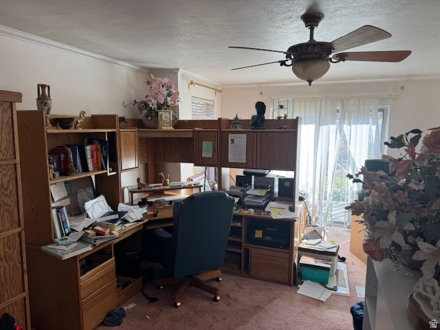 1171 S CARTERVILLE RD Orem, UT 84097