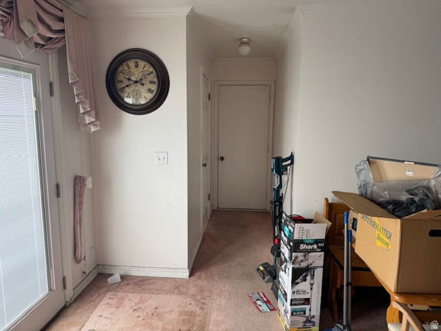 1171 S CARTERVILLE RD Orem, UT 84097