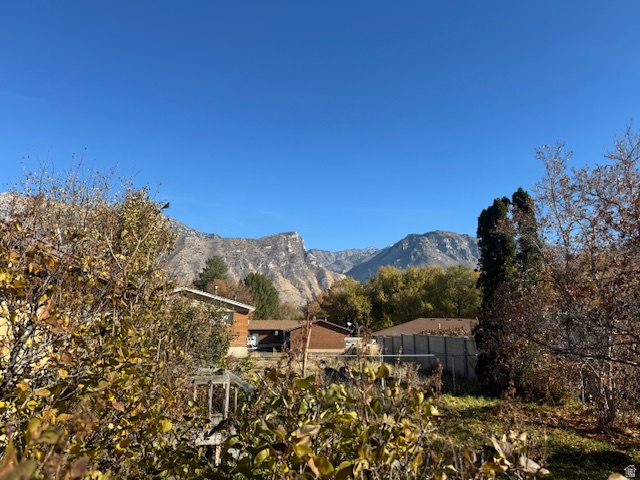 1171 S CARTERVILLE RD Orem, UT 84097