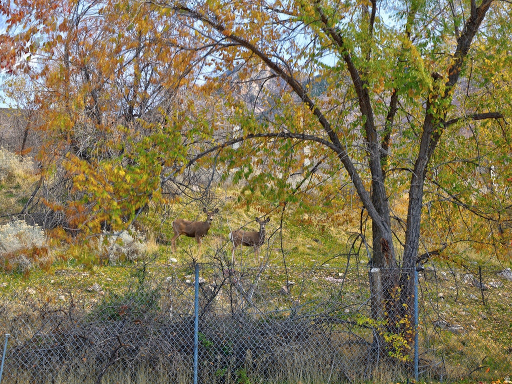 4755 S WALLACE LN Holladay, UT 84117